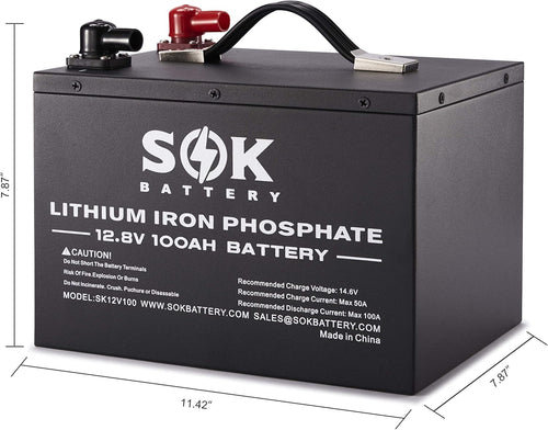 100Ah 12V LiFePO4 Deep Cycle Battery G807749