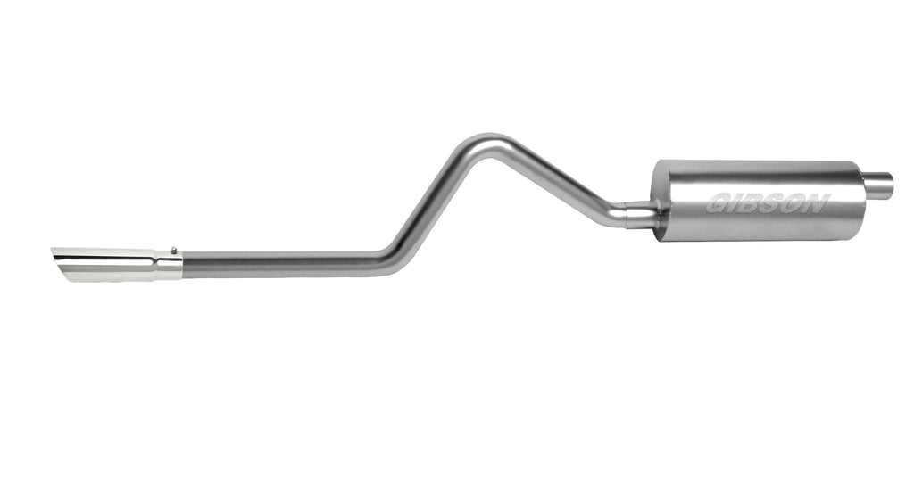 Cat-Back Dual Split Exhaust System I3438