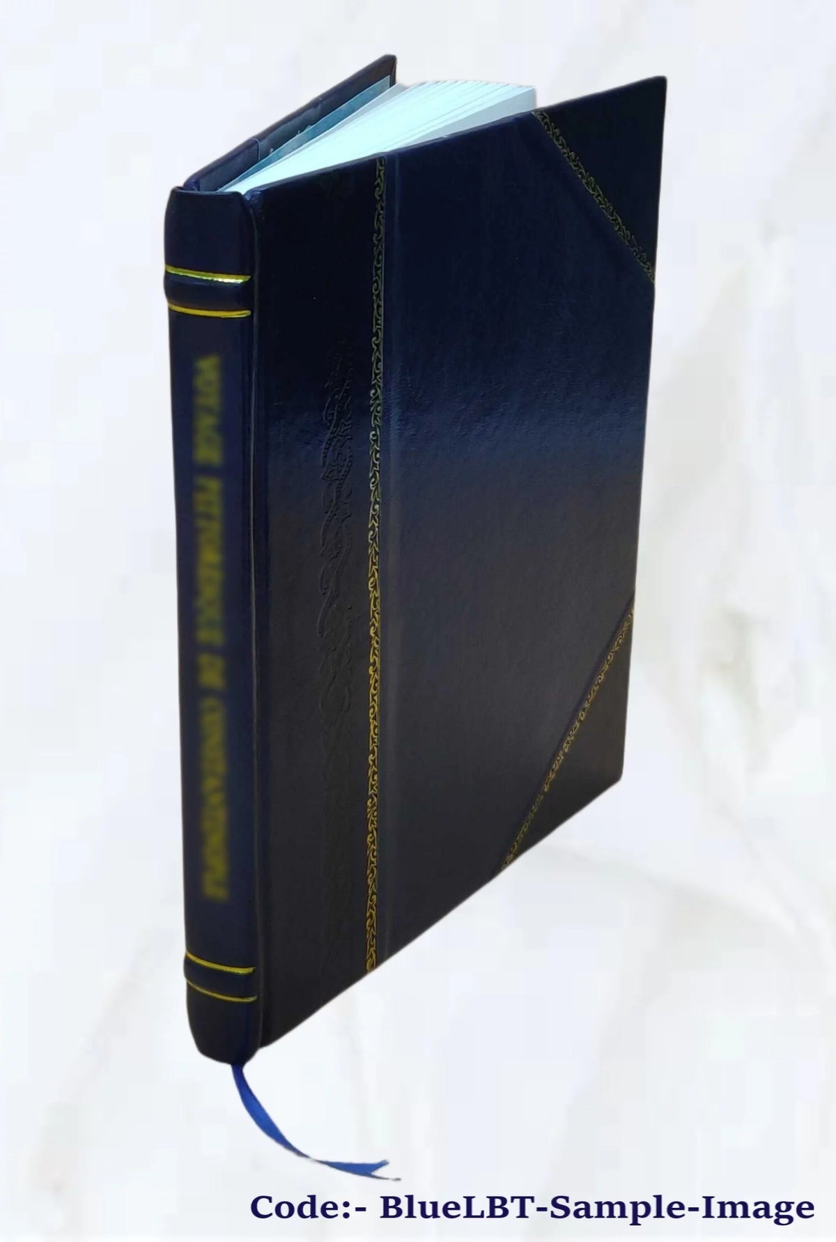 Vital Statistics Summary 1965 Leather Bound M541040