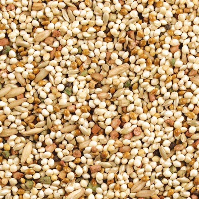 Daily Blend Nutrition Diet for Parakeet, Canary and Finch 10 Pounds W187
