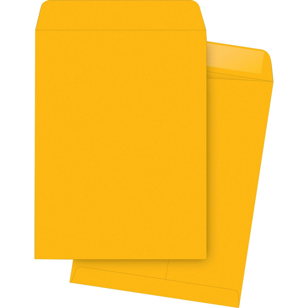 Kraft Gummed Catalog Envelopes I538175