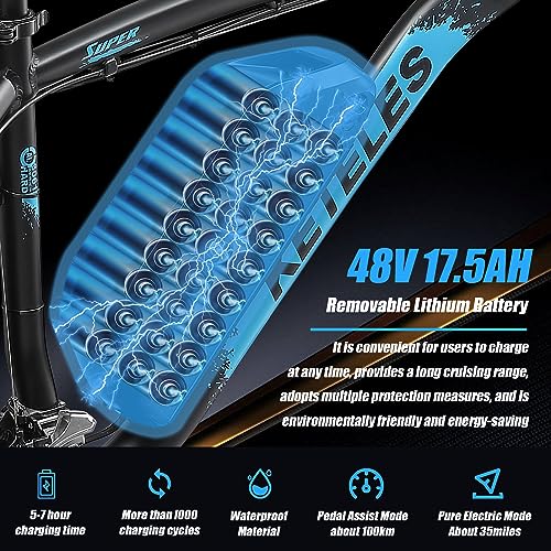 26" Fat Tire Electric Mountain Bike with 48V Removable Battery R11835