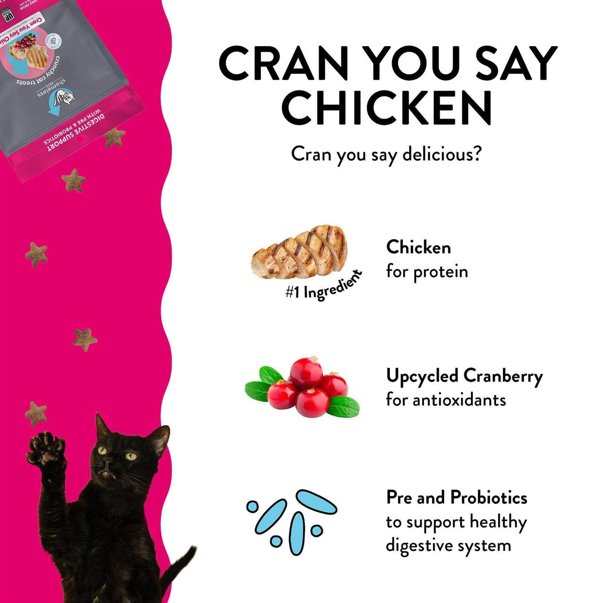 Crunchy Cat Treats T647