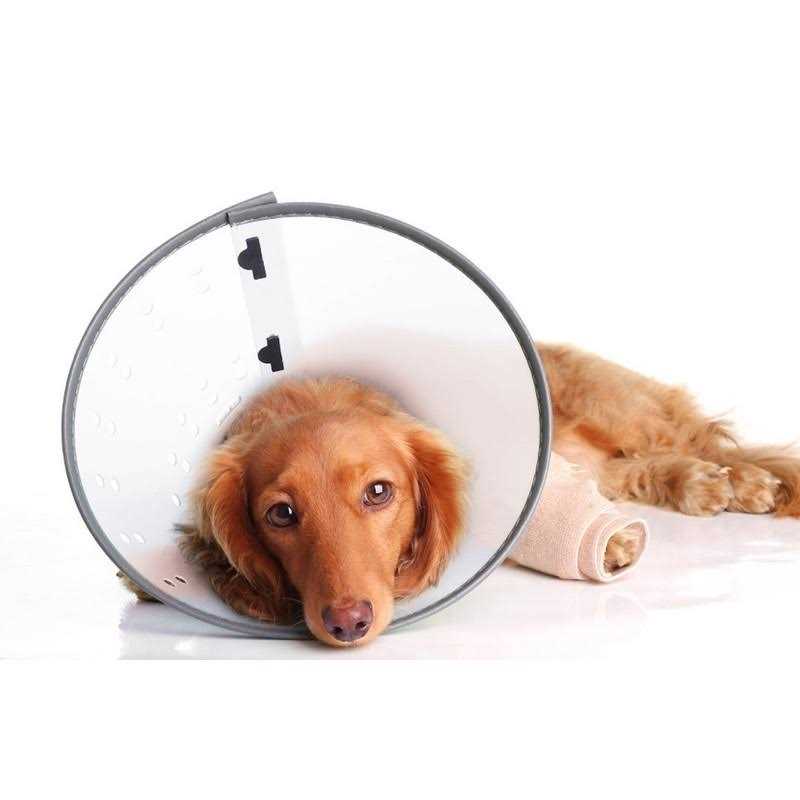 Dogswell E-Collar F7979