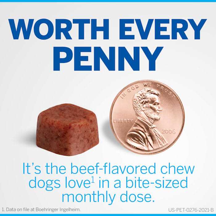 Chewables for Dogs 10.1 to 24 lbs Q5341