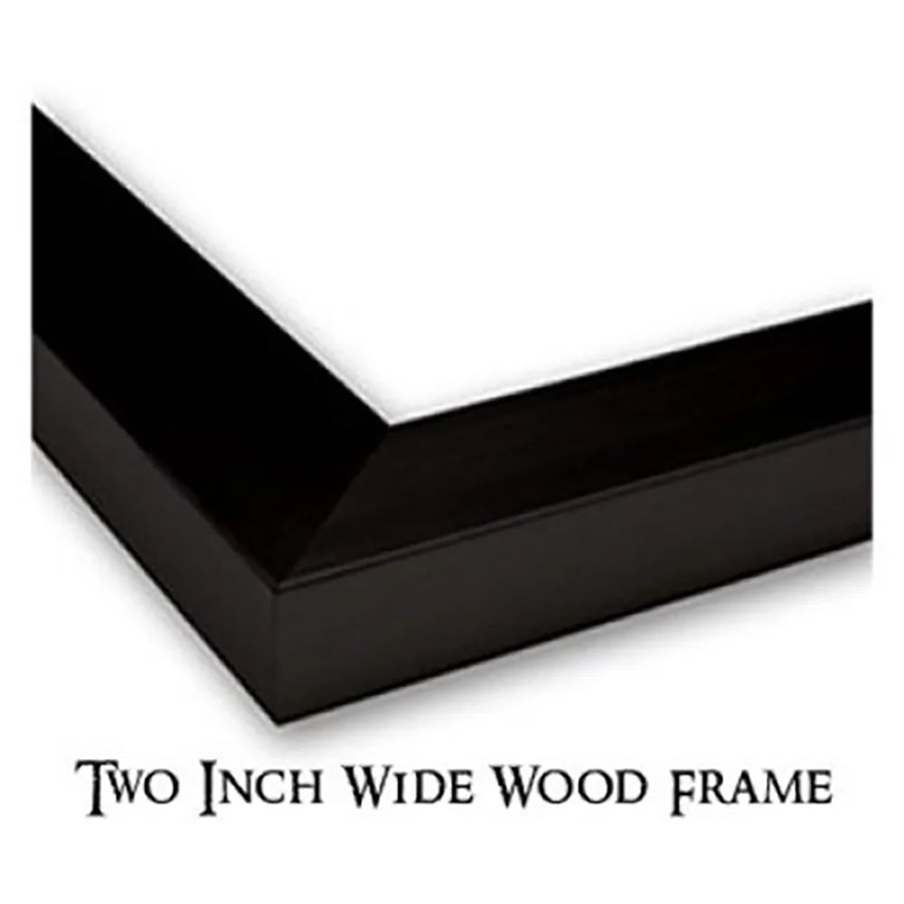 Black Modern Framed Museum Art Print Z120