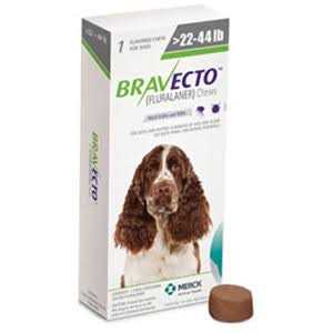 Chews 1000mg O3319