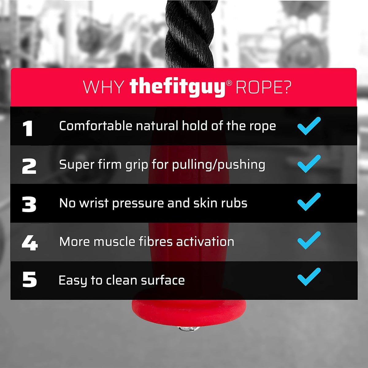 Tricep Rope Pull Down Cable Attachment with Snap Hook Q237970