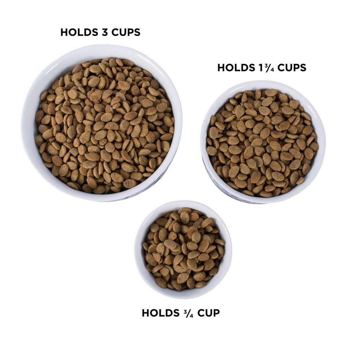 Bone Dry Paw Patch Pet Bowl D185