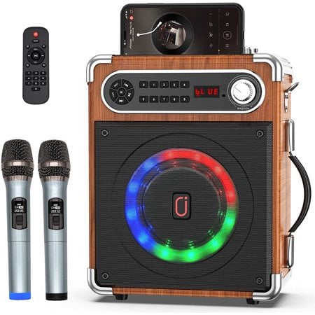 Bluetooth Karaoke Machine with 2 Microphones T667