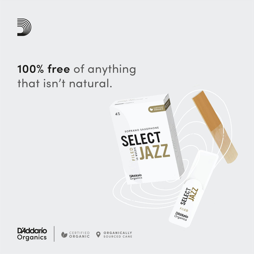 Alto Saxophone Reeds 3 Soft 10 Pack S733