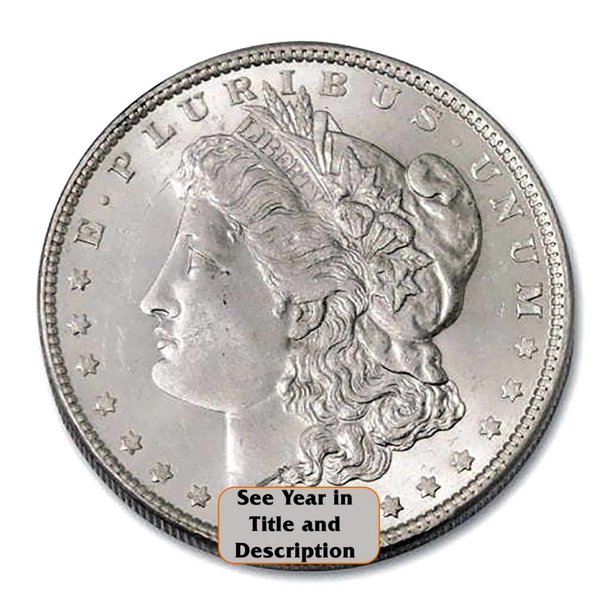 Morgan Silver Dollar Z345942