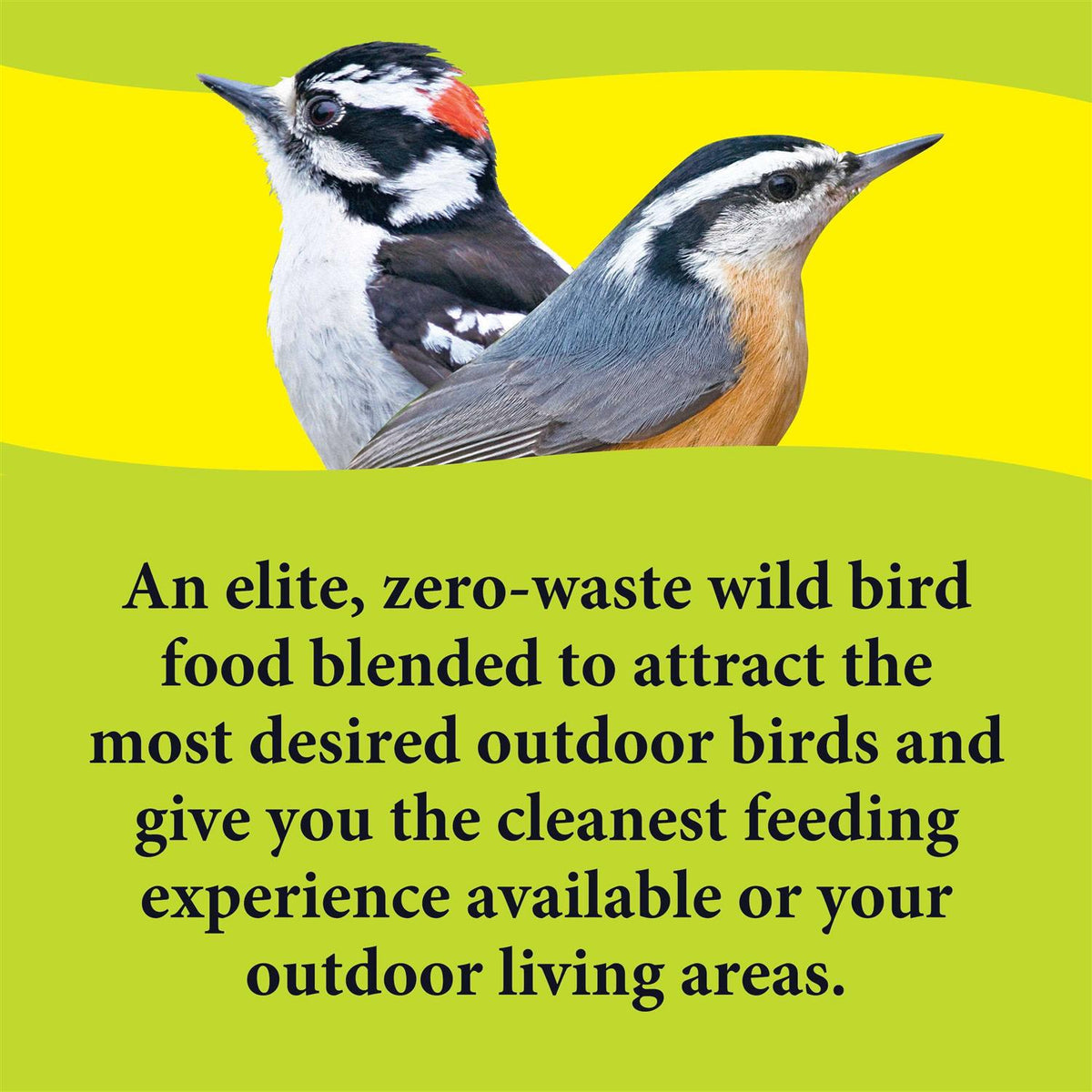 Deck Porch Patio Blend Wild Bird Food W541