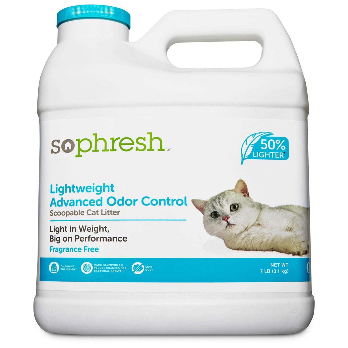 Lightweight Advanced Odor Control Cat Litter B79872