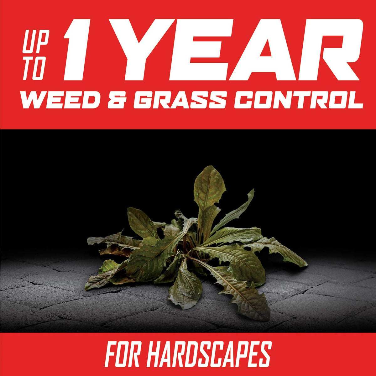 Year Long Vegetation Killer Concentrate 1 gal. W701003
