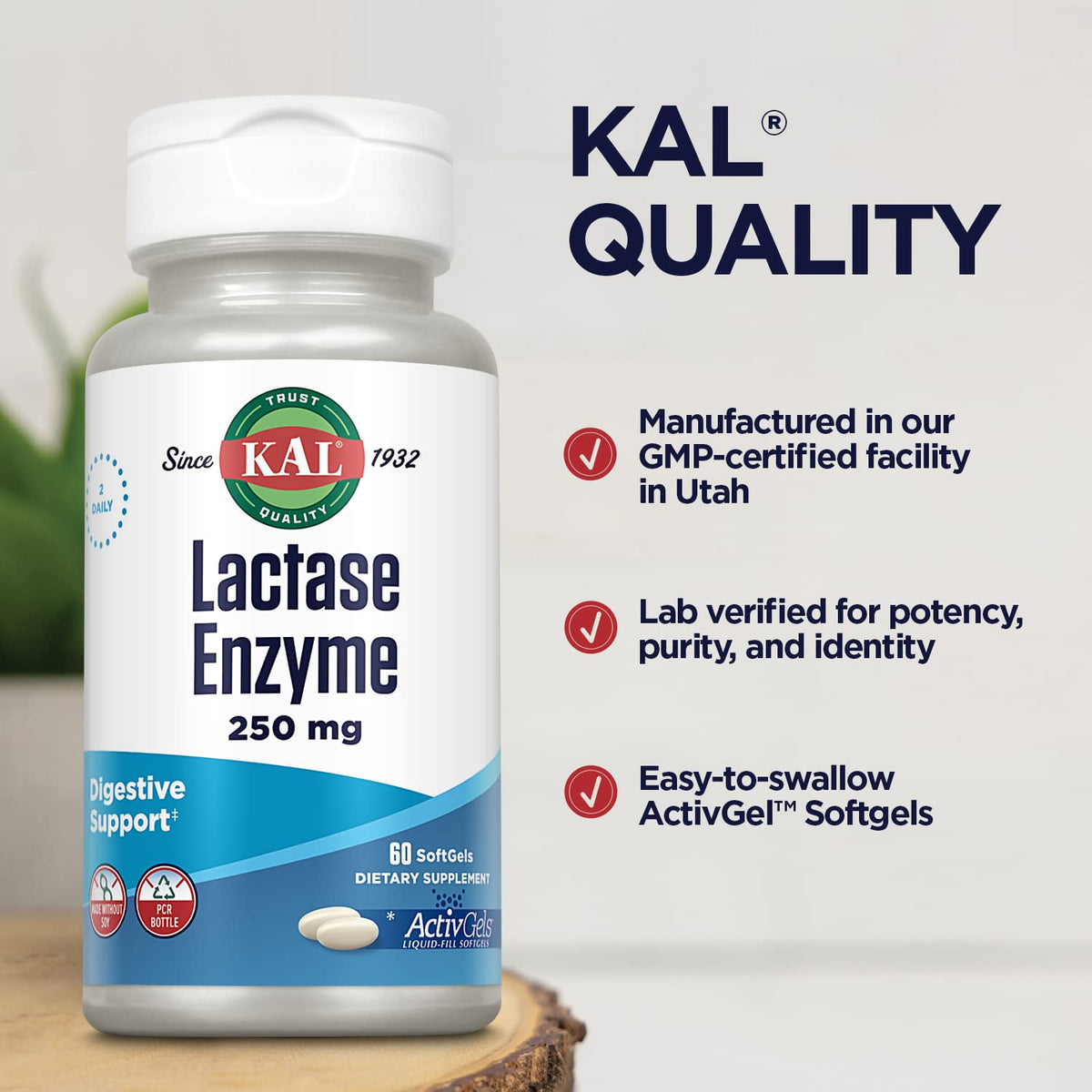 Lactase Enzyme 250 mg 60 SoftGels Y70270