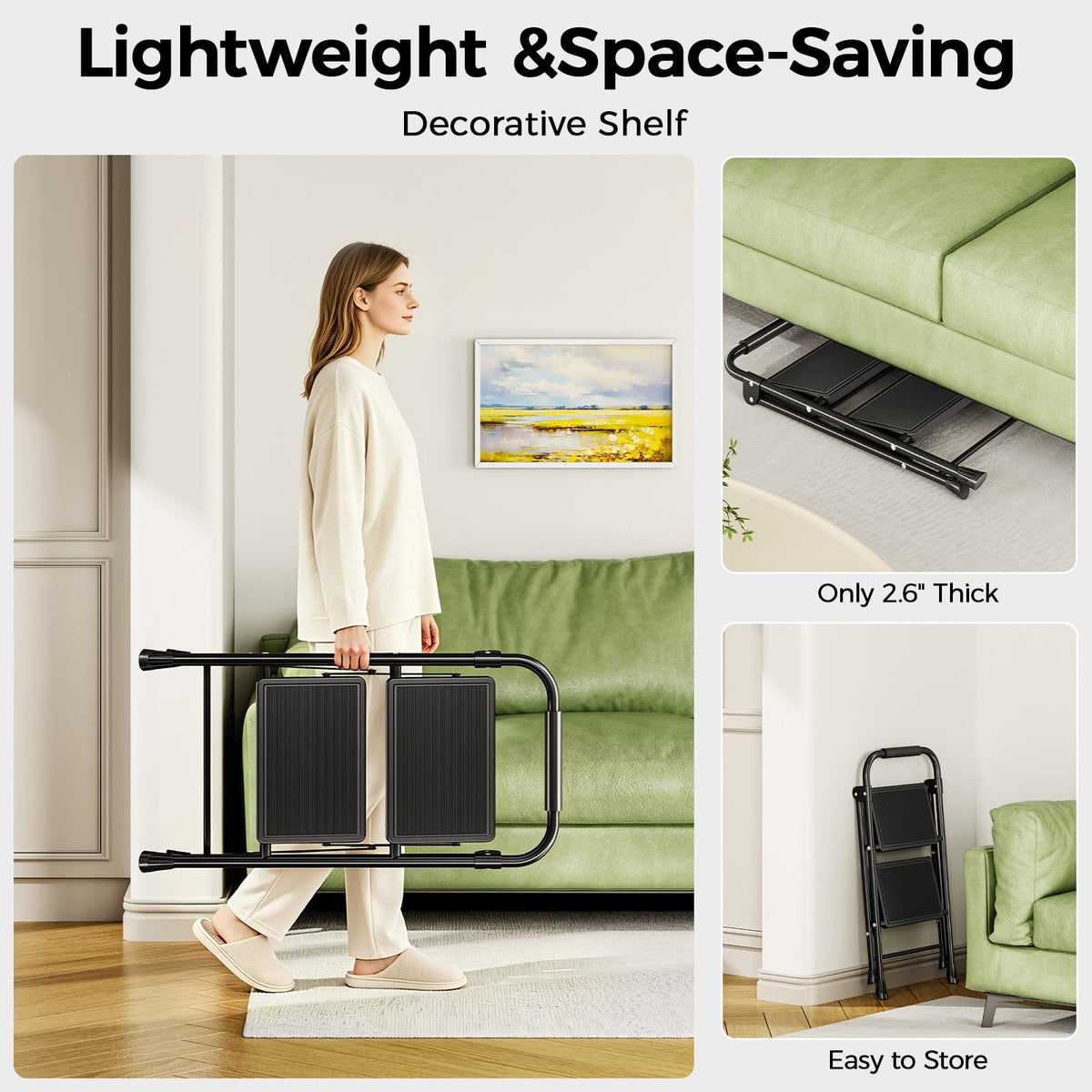 2 Step Folding Step Stool with Handrail Black W544267