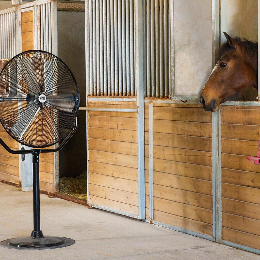 30" Heavy Duty Pedestal Fan J14120