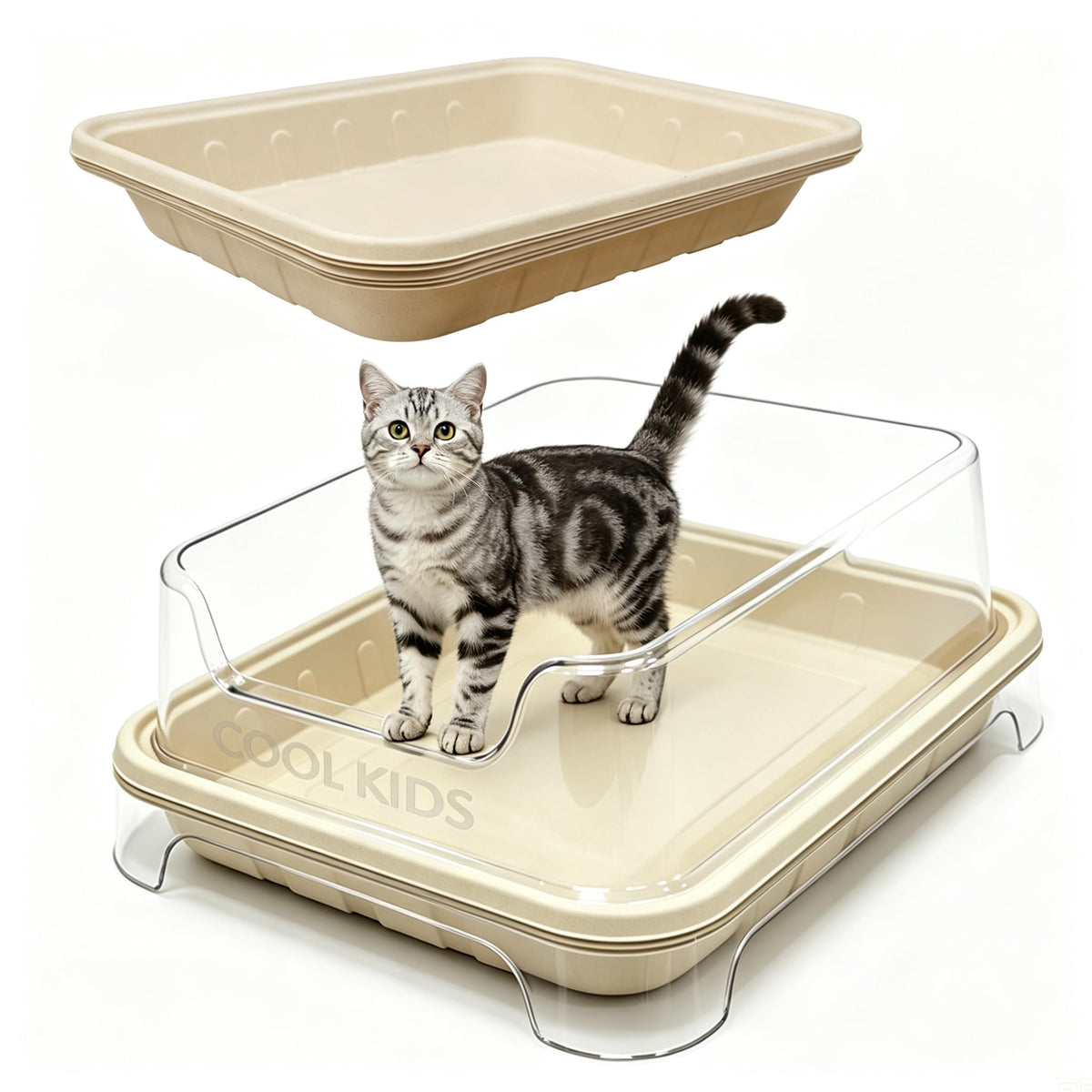 1+5 Pack Disposable Litter Boxes for Cats Y837001