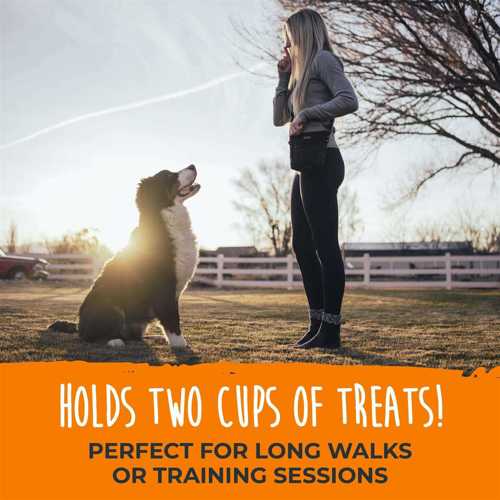 Dog Treat Pouch V66632