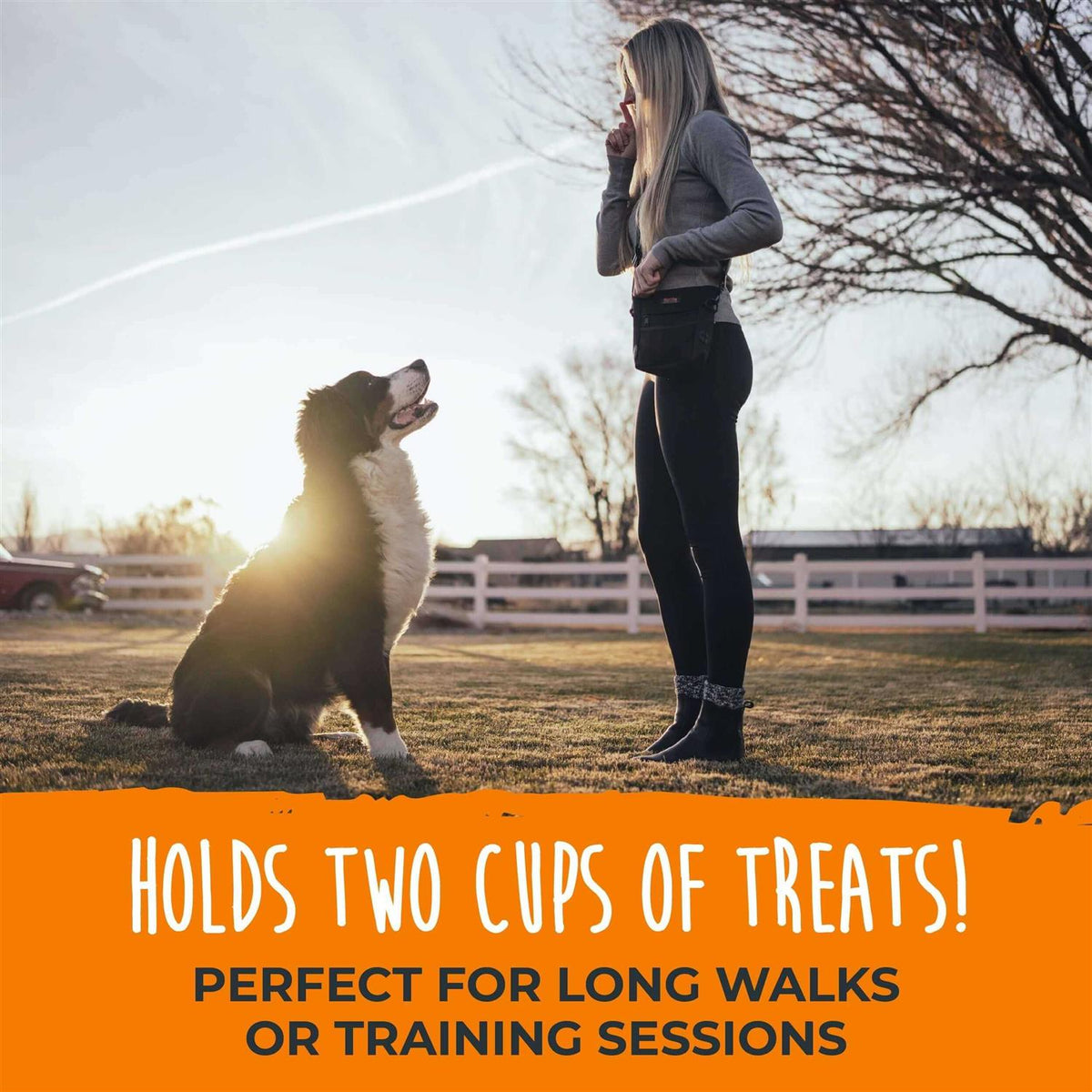 Dog Treat Pouch V66632