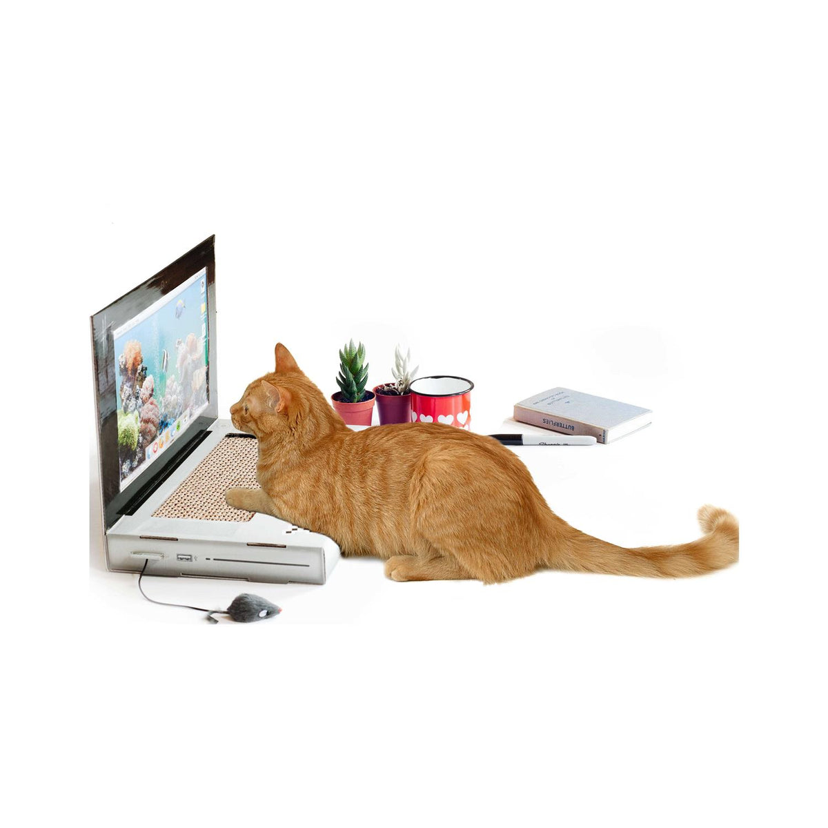 Cat Scratch Laptop J8099