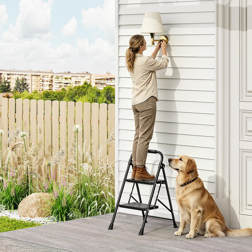2 Step Folding Step Stool with Handrail Black W544267