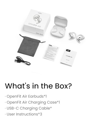 Black Open-Ear True Wireless Earbuds H451