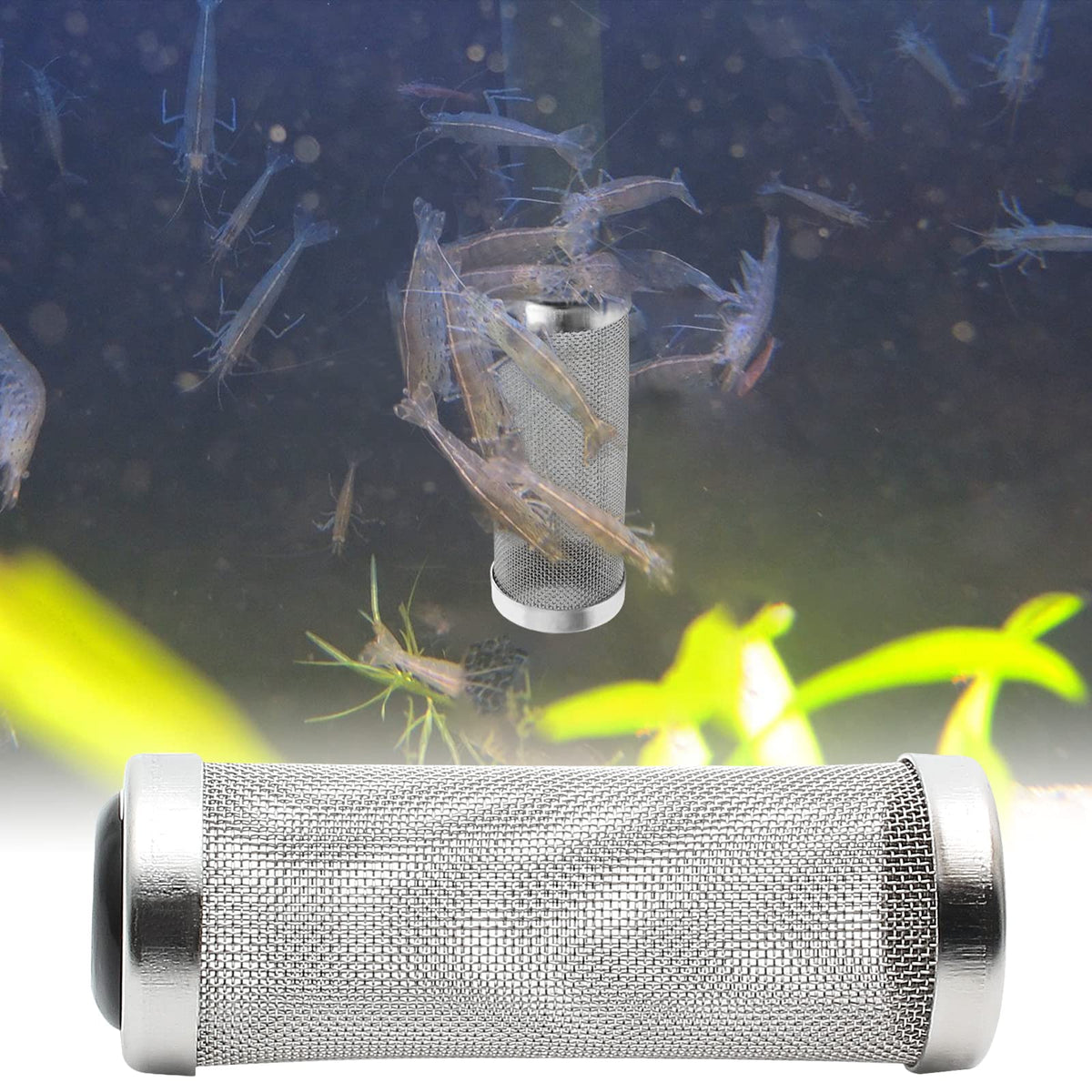 Stainless Steel Aquarium Filter Intake Cover 12mm H988981
