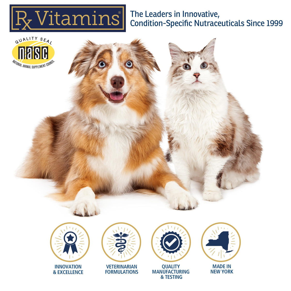 Amino B Plex Cat & Dog Supplement 4oz Y703596