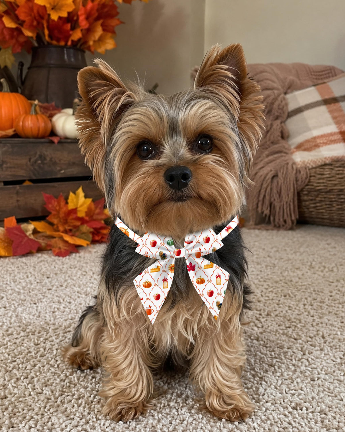 50 Pack Dog Bowties R728