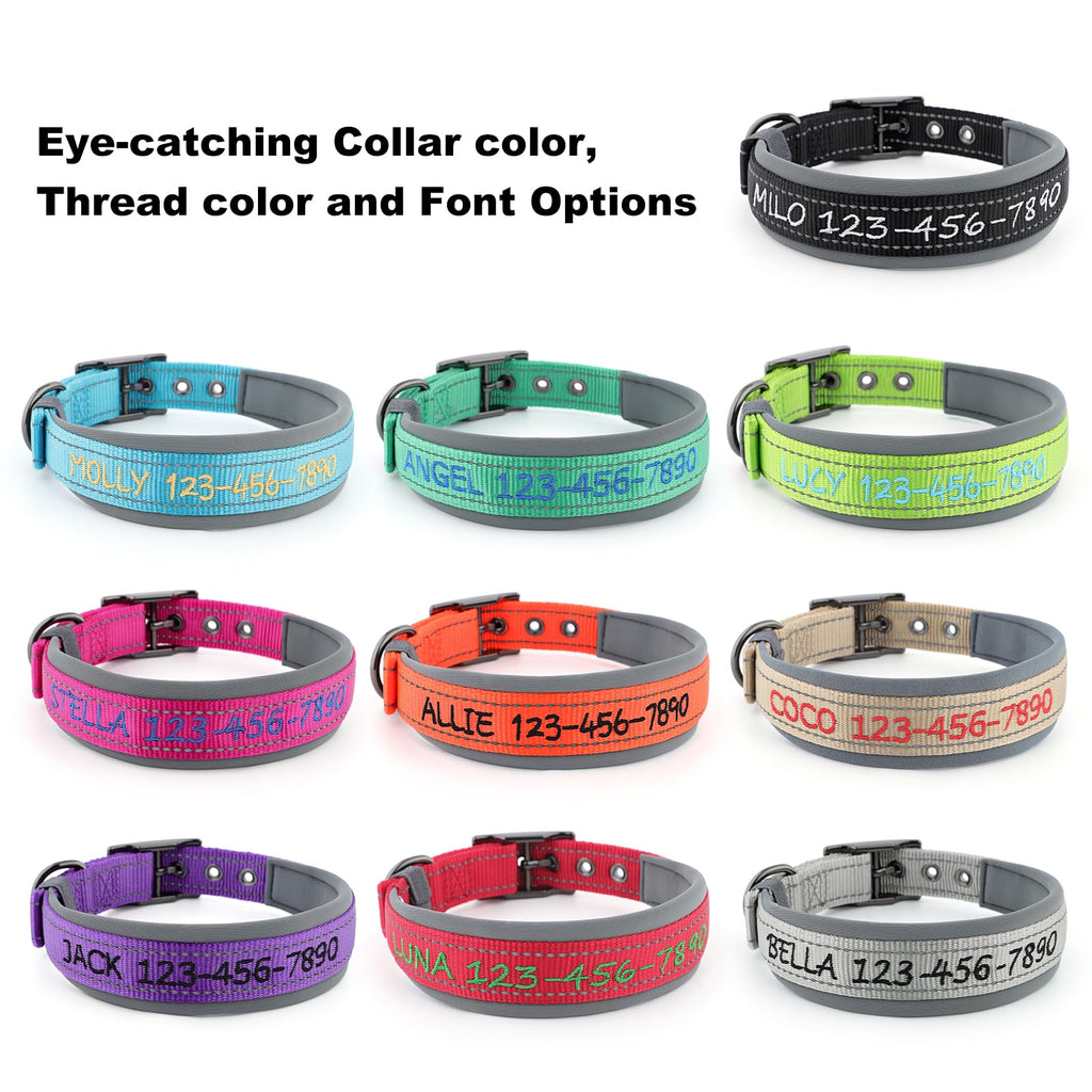 Personalized Dog Collar A2601