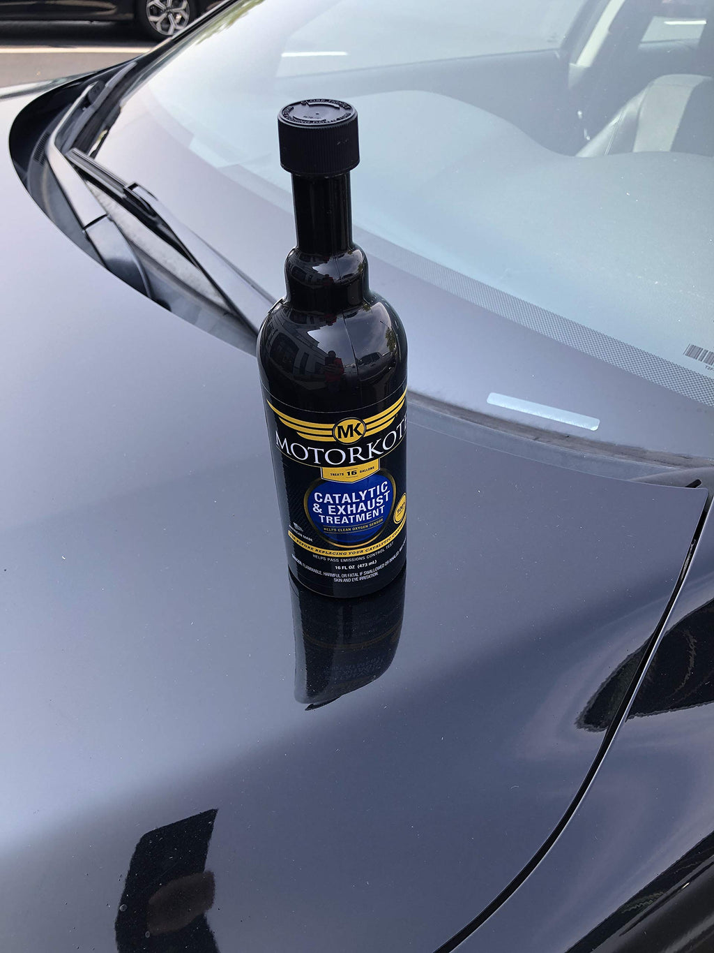 16 oz. Catalytic and Exhaust Treatment W91451