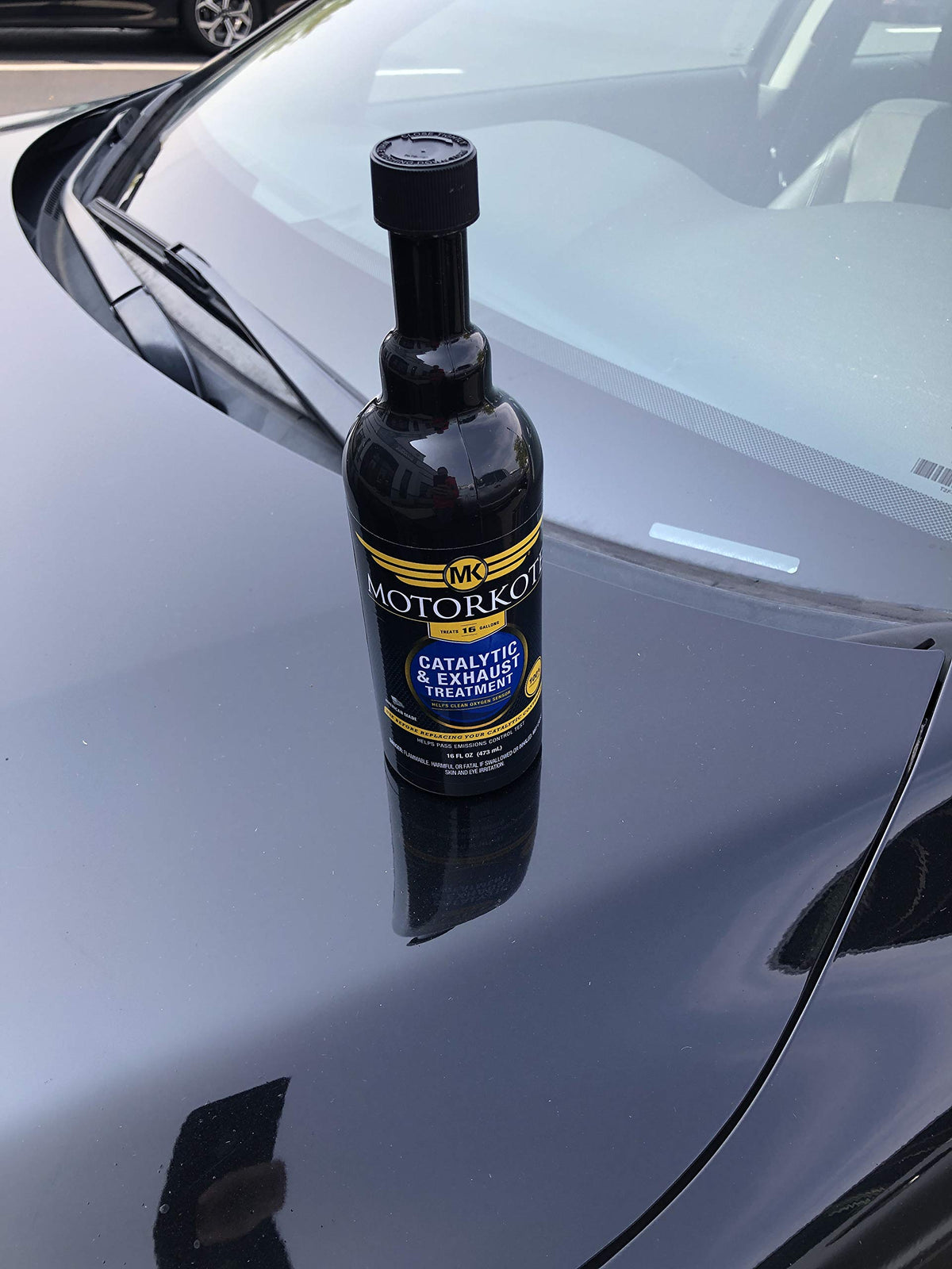 16 oz. Catalytic and Exhaust Treatment W91451
