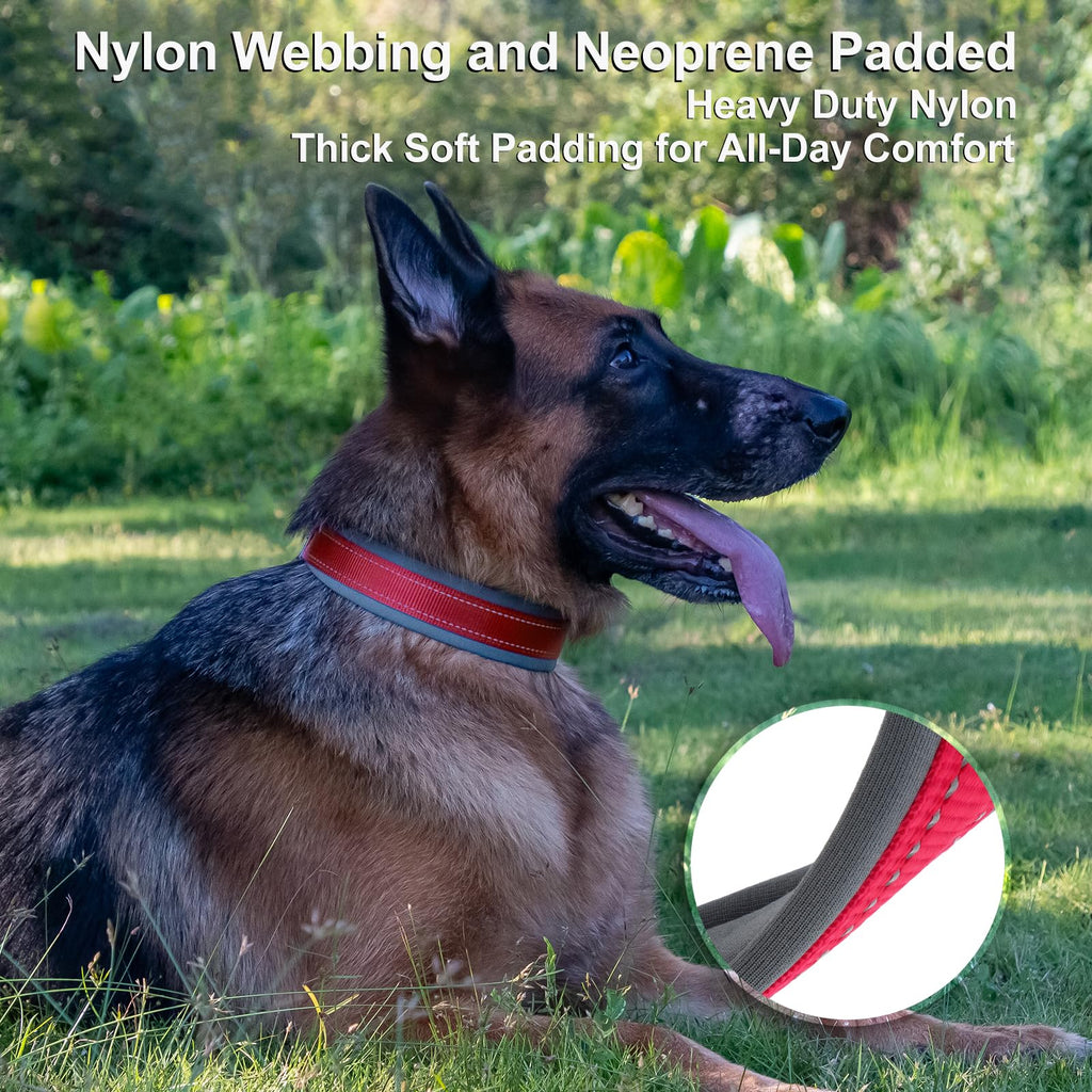 Personalized Dog Collar A2601