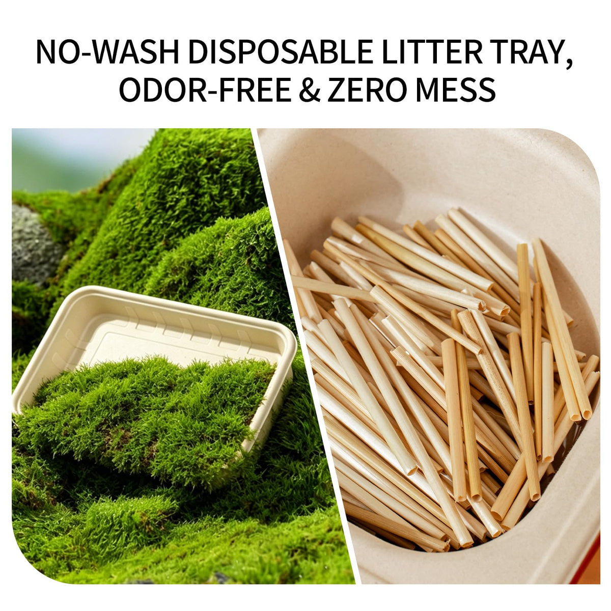 1+5 Pack Disposable Litter Boxes for Cats Y837001