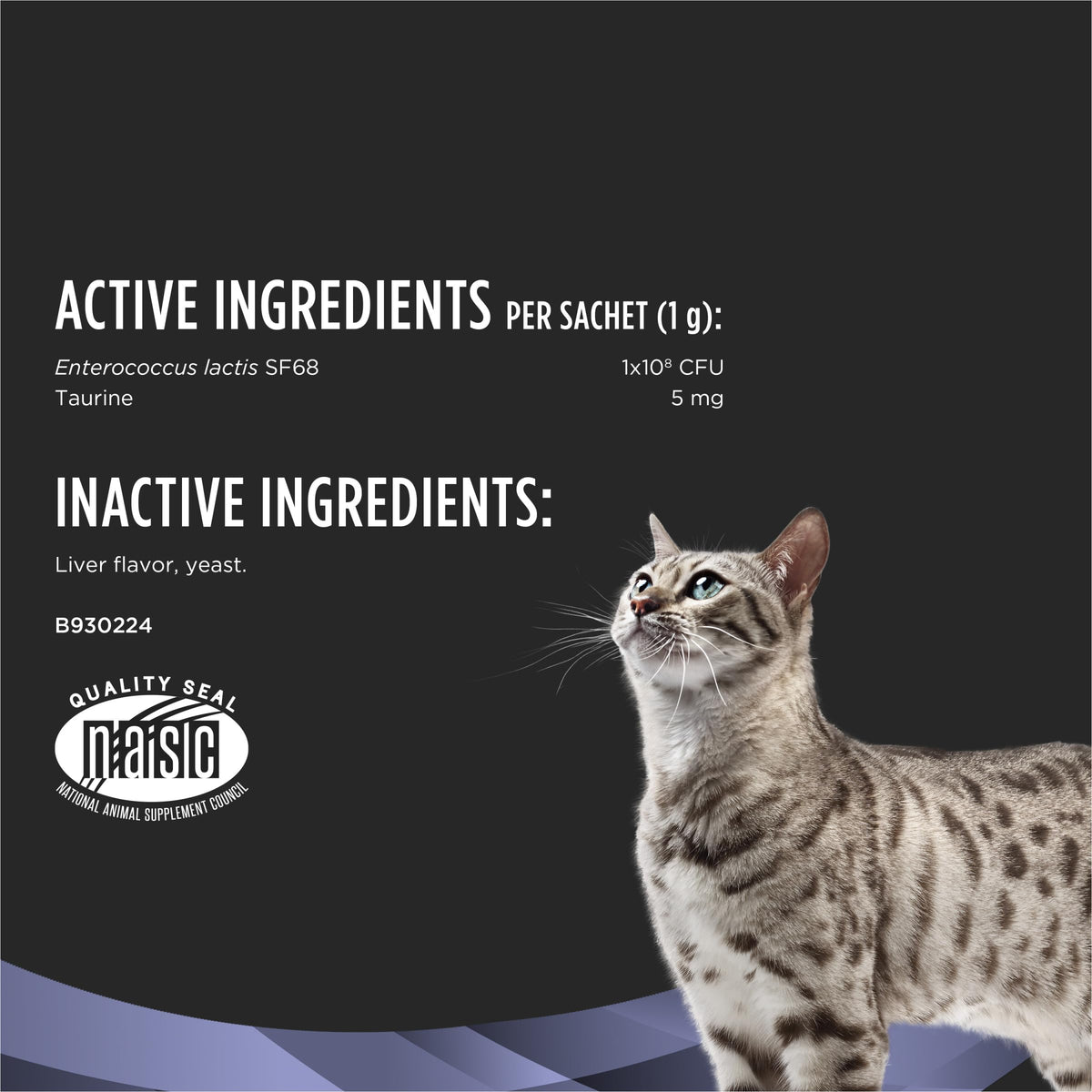 Probiotic Powder Supplement for Cats S4046