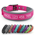 Personalized Dog Collar A2601