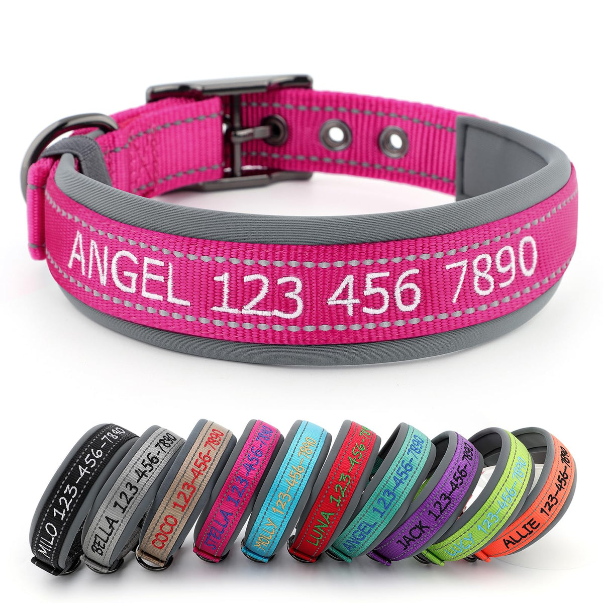 Personalized Dog Collar A2601