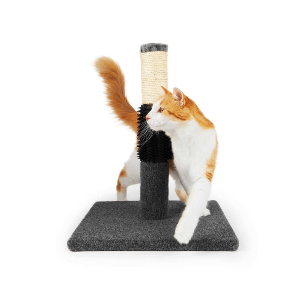 Colorful Cat Scratch Post E6200