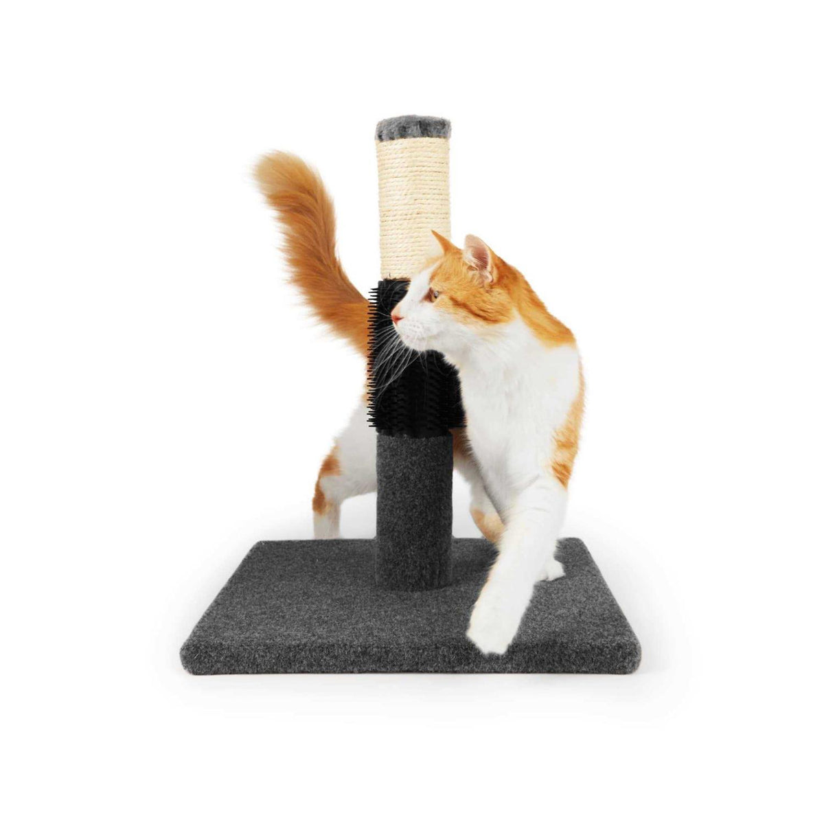 Colorful Cat Scratch Post E6200
