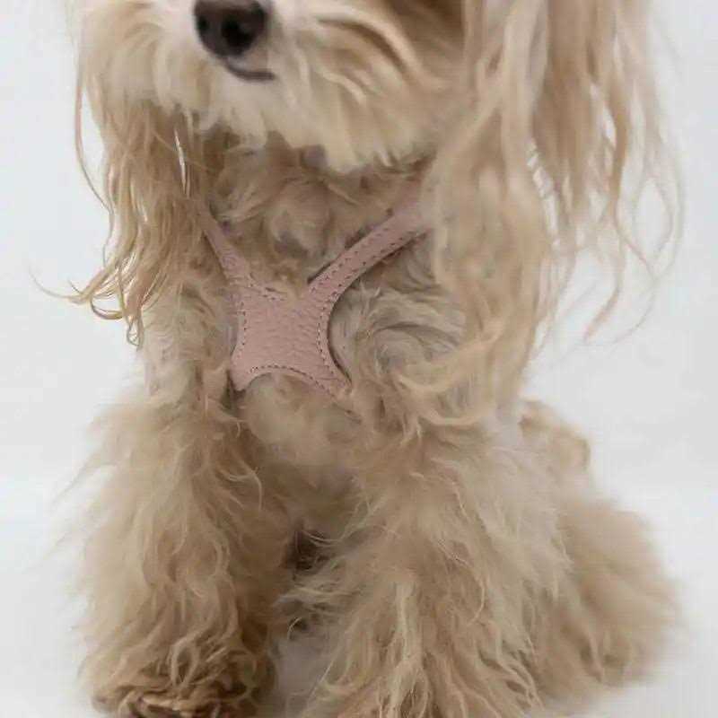 Pebble Grain Pet Harness K26911