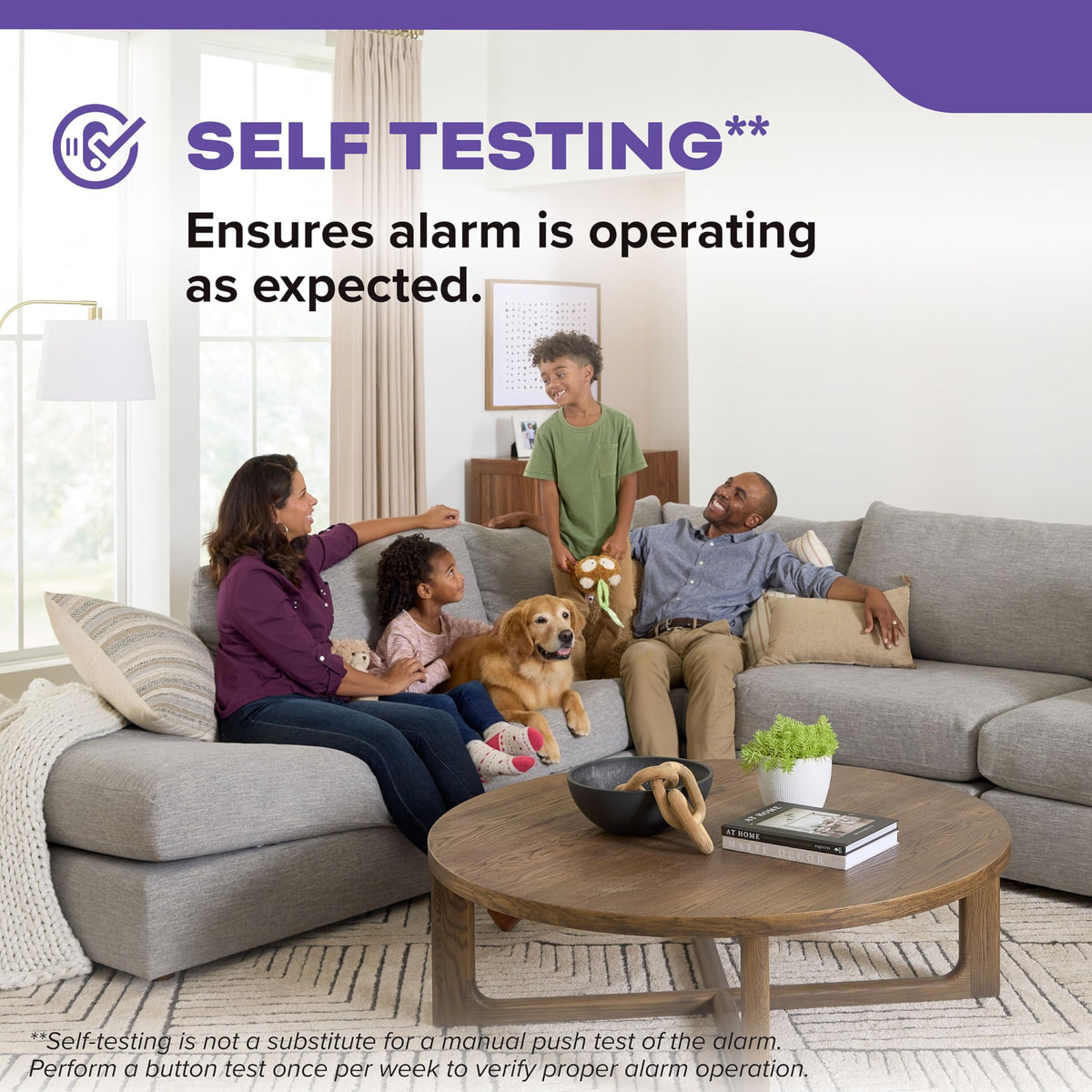 Smoke & CO Detector, AA Battery-Powered, 3 Pack D487