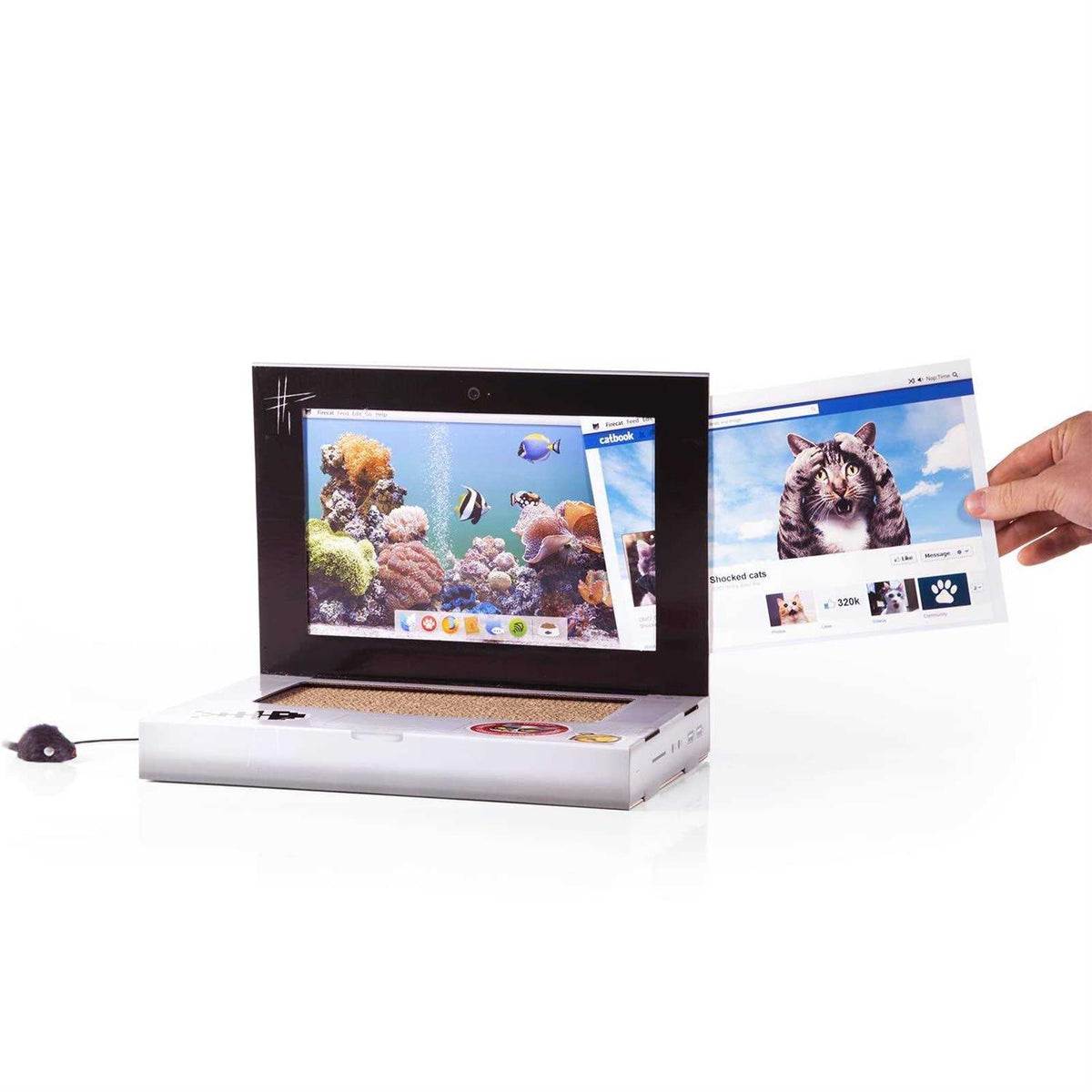 Cat Scratch Laptop J8099
