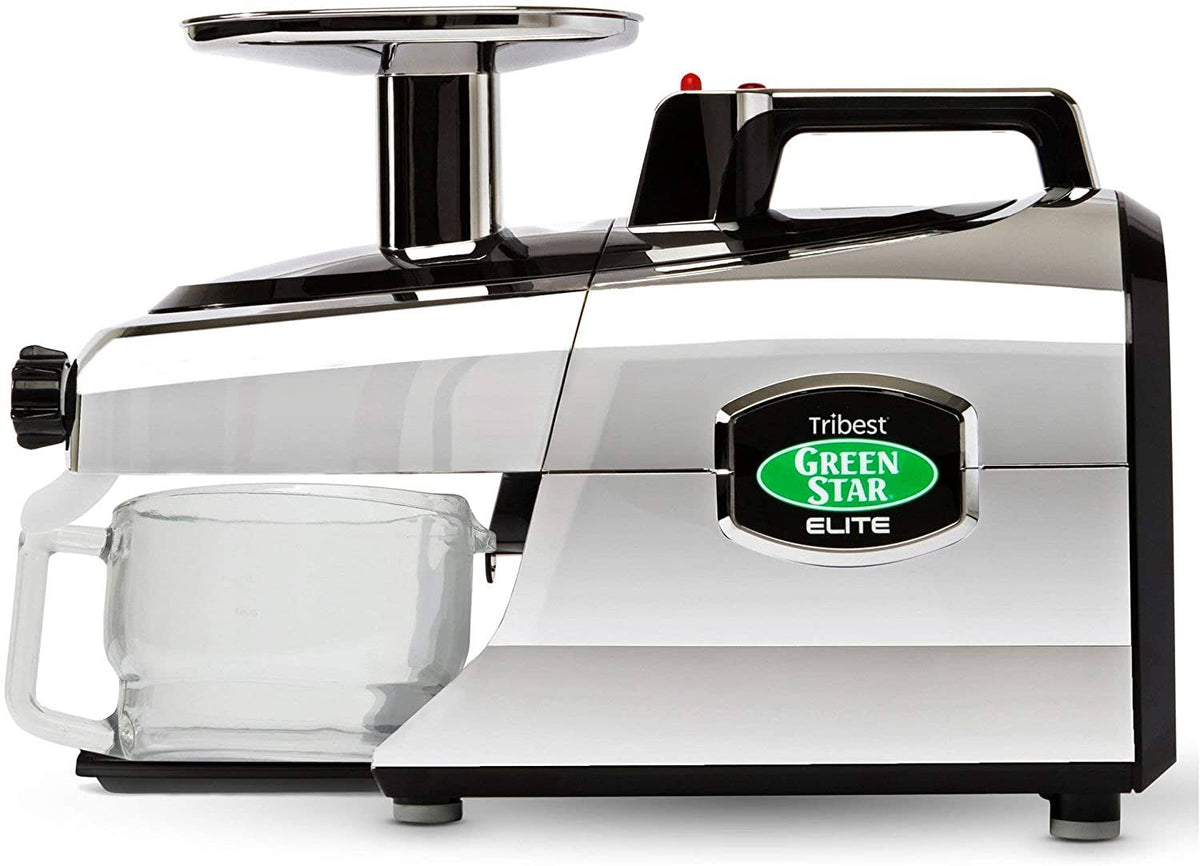 Cold Press Juicer O130