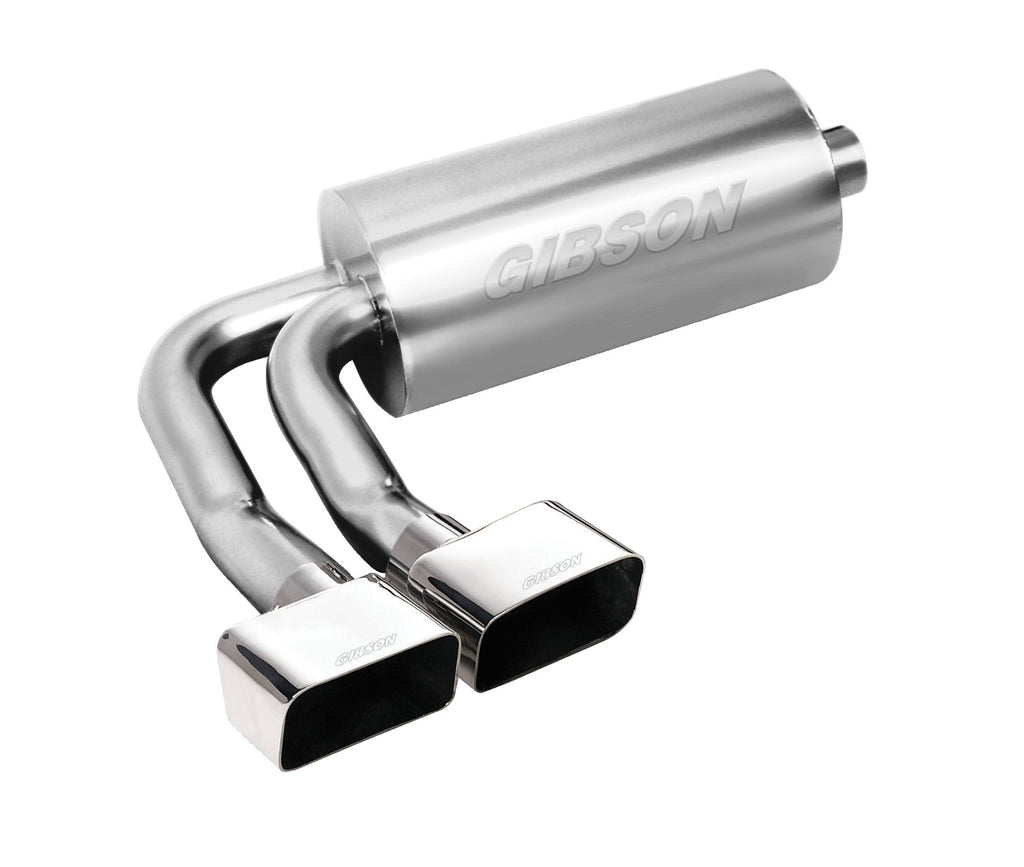 Cat-Back Dual Split Exhaust System I3438