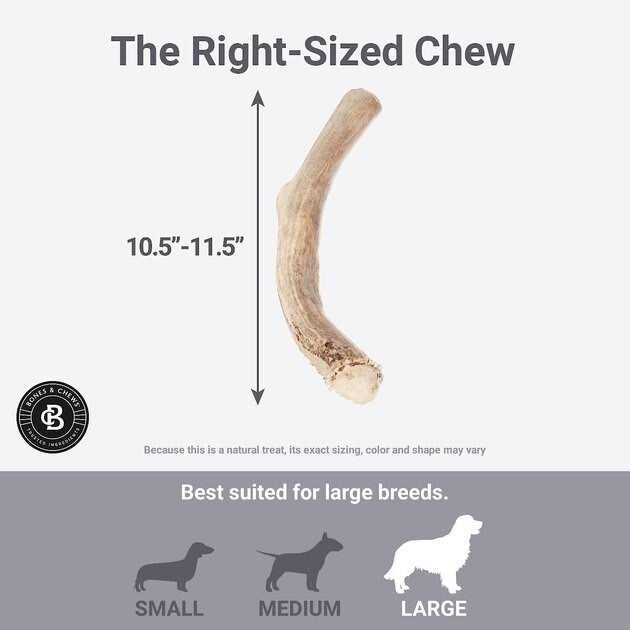 Deer Antler Dog Chew H968218