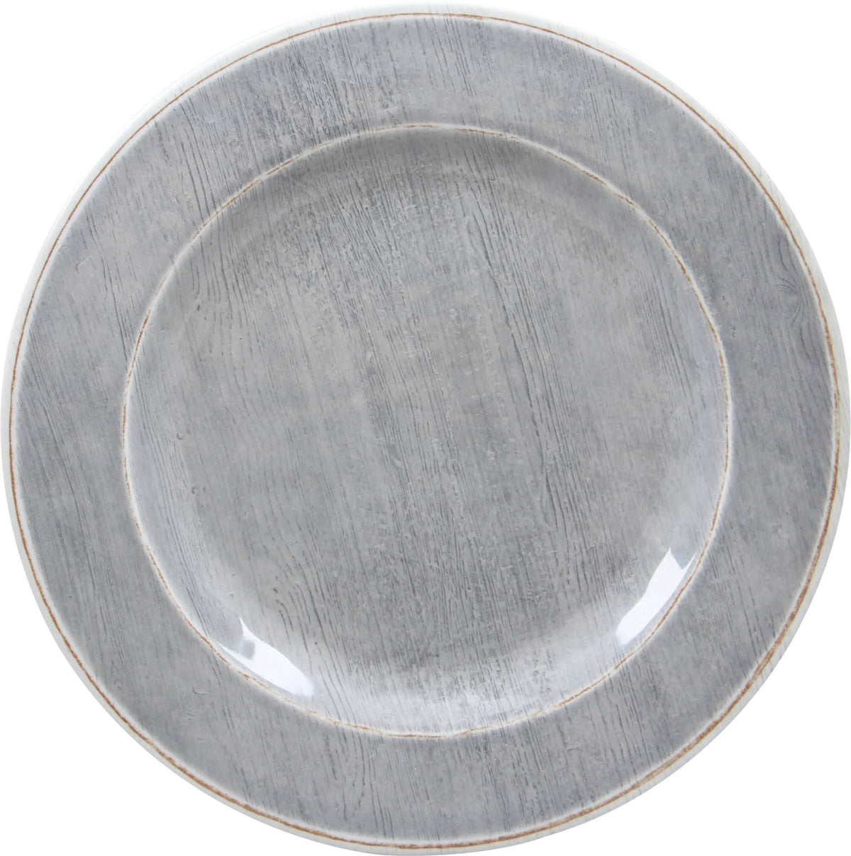 11x22 Dinner Plate C973