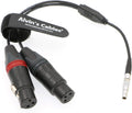 5 Pin Male to Two XLR 3 Pin Female Audio Input Cable Pack of 2 F717329