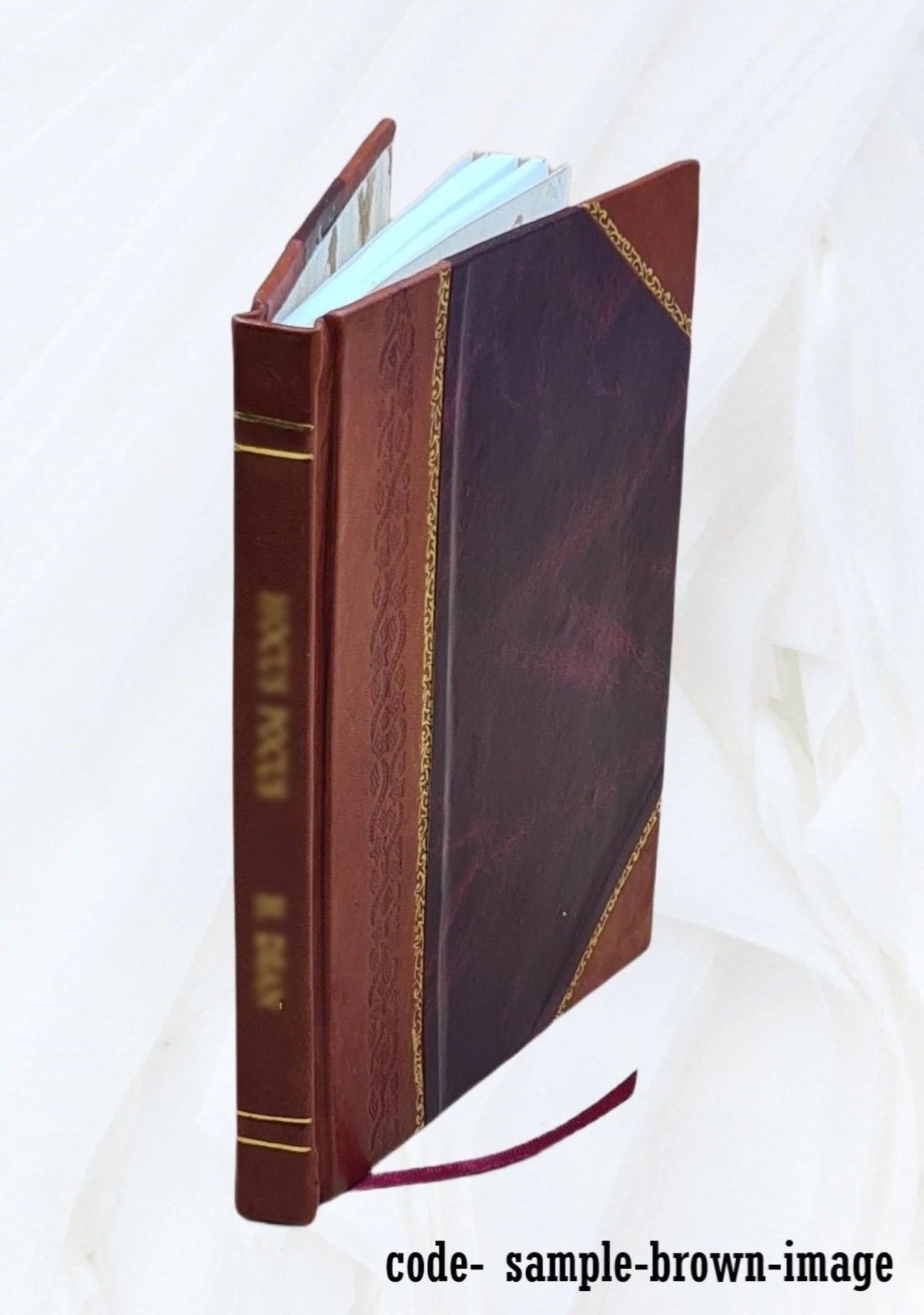Vital Statistics Summary 1965 Leather Bound M541040
